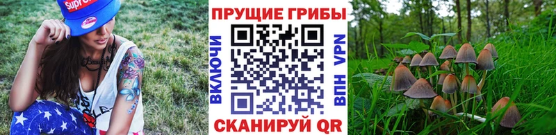 купить наркотик мориарти клад blacksprut как войти Галлюциногенные грибы MAGIC MUSHROOMS Билибино